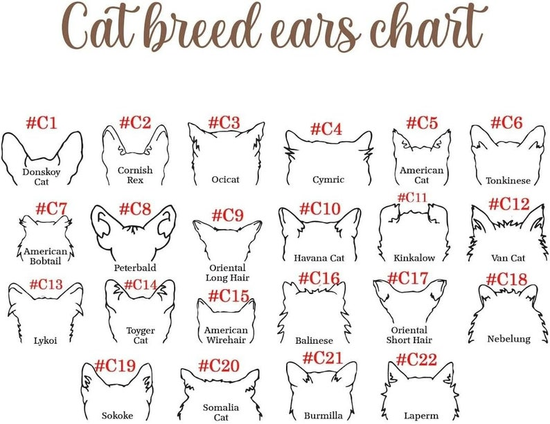 Personalized Loss of Pet Gift, Dog Memorial Gifts For Loss Of Dog, Memorial Pet Collar Holder, Memorial Frame Gift for Pet Lovers